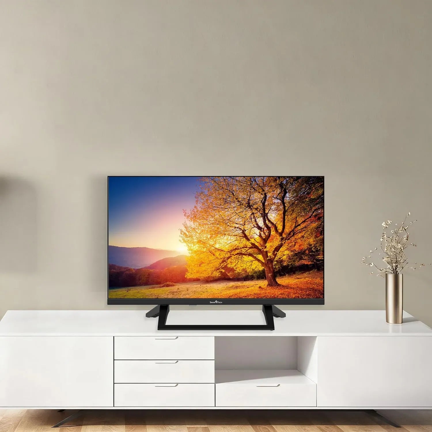 Téléviseur LED HD 24' (60 cm) Smart TV avec Google, HDMI et USB, Résolution 1366x768