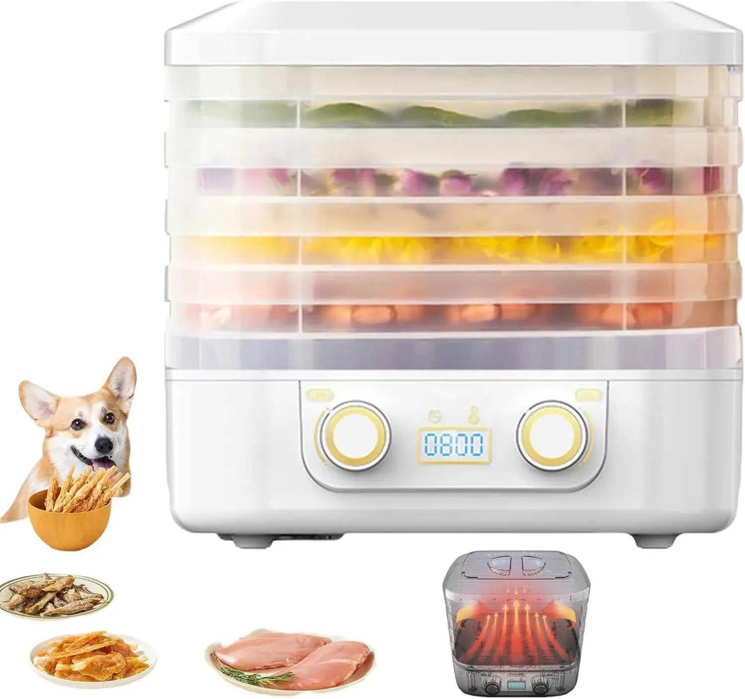Déshydrateur alimentaire compact, 3 ou 5 plateaux amovibles, contrôle de température 35-75°C, minuterie jusqu'à 48h, circulation d'air chaud