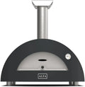 Four à gaz en métal moderne pour 2 pizzas